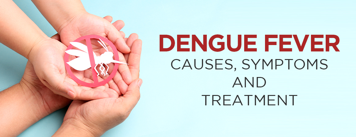 Dengue Fever: Causes, Symptoms, and Treatment