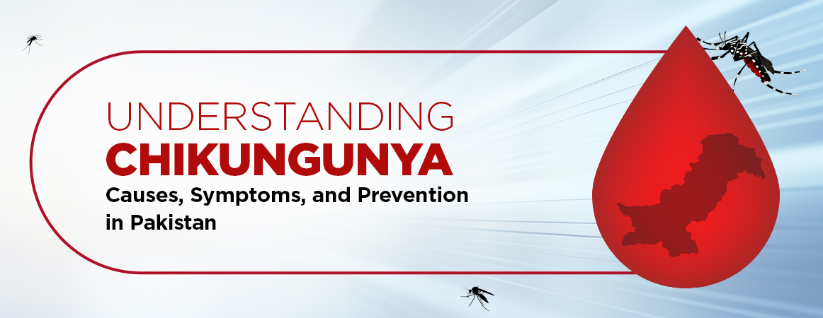 Chikungunya: Symptoms, Causes, Treatment