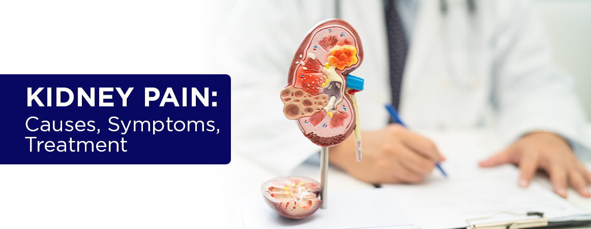 Kidney Pain: Causes, Symptoms, Treatment